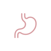 Support Your Gut & Liver Health